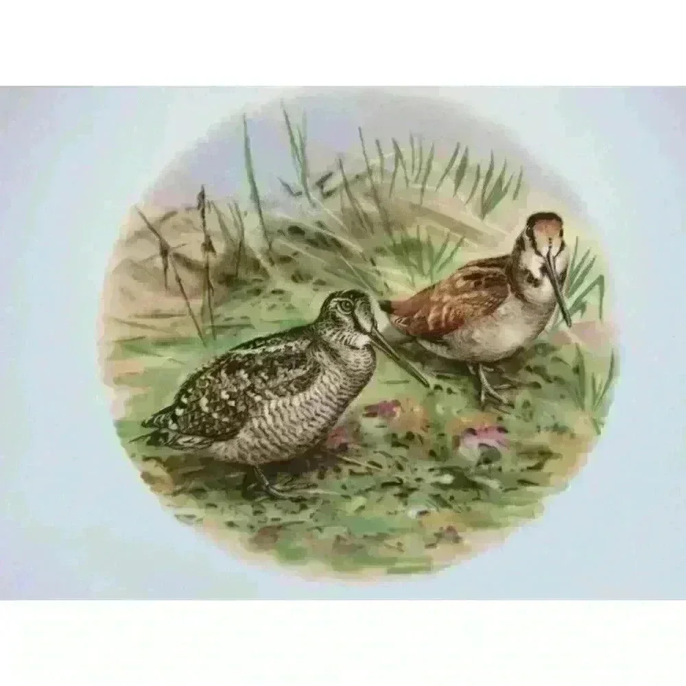 Bird Plates 10" Liverpool Road Pottery England Gold Gilt Rims Lot of 5 Vintage - Picture 5 of 12
